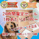 《延長しました！24時間タイムセール》1回使い捨てペットシーツ[％OFF・トイレタリー・ペットシート・トイレ・小型犬]《96時間限定！1,050円以上送料無料☆1/24 10時まで》