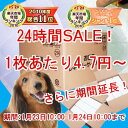 《さらに延長しました！24時間タイムセール》1回使い捨てペットシーツ[％OFF・トイレタリー・ペットシート・トイレ・小型犬]《96時間限定！1,050円以上送料無料☆1/24 10時まで》