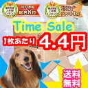 1回使い捨て　ペットシーツ　[犬・％OFF・ペットシート・小型犬・薄型・ペット館・激安]ペット館特別価格♪