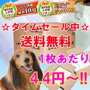 1回使い捨て　ペットシーツ　[犬・％OFF・ペットシート・小型犬・超薄型・ペット館・激安]Pet館限定価格♪ペットシーツ