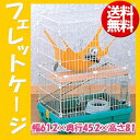 フェレットケージ 2階建て FK-652 送料無料 小動物 ケージ ハウス ゲージ おうち ハンモック ハシゴ ペット用品 アイリスオーヤマ Pet館 ペット館 楽天