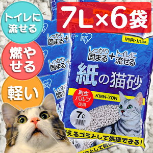 キャット