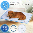 ≪数量限定!当店イチオシ!≫クールブランケット Mサイズ PCM-17M ひんやり ペット マット ベッド 犬 ドッグ 猫 キャット 暑さ対策 夏 クール用品 サマーベッド ペットベッド 接触冷感 リバーシブル ペット用品 アイリスオーヤマ Pet館 ペット館 楽天