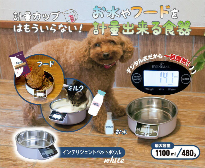 【送料無料】インテリジェントペットボウル ホワイト　[OFT]【D】 Pet館 ペット館 …...:dog-kan:10083053