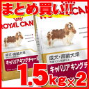 ロイヤルカナン キャバリア キングチャールズ 成犬~高齢犬用 1.5kg×2個セット正規品 犬 ドッグ BHN フード ドライ ごはん アダルト シニア 老犬 老齢 まとめ買 Pet館 ペット館 楽天 【D】【3182550743501】