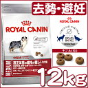 ロイヤルカナン ミディアム ステアライズド 成犬〜高齢犬用 12kg送料無料 正規品 犬 SHN ドッグフード ドライ 避妊 去勢 過食 太りやすい アダルト 成犬用 シニア 老犬 高齢 中型犬 Pet館 ペット館 楽天