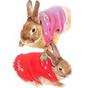 レインボー rabbit ミニ・いちごパーカー M (レッド、ピンク) 【配送方法指定不可】