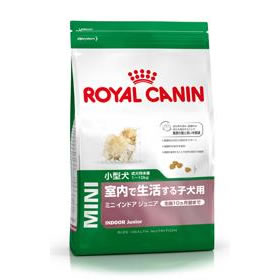 ロイヤルカナン ミニインドアジュニア 4kg[ ロイヤルカナン ミニインドアジュニア ] 室内飼育の小型犬の成長期のために高い消化性とエネルギー量に配慮したフードです。