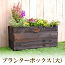 園芸・ガーデニング用品 植木鉢 木製プランターボックス(大)×2個セット【送料無料】【534701SET】