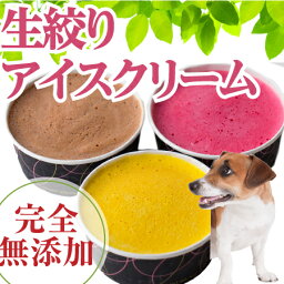 犬・おやつ・アイス(無添加・生搾り アイスクリーム 5個)オーガニック食材を使用した天然のおやつ