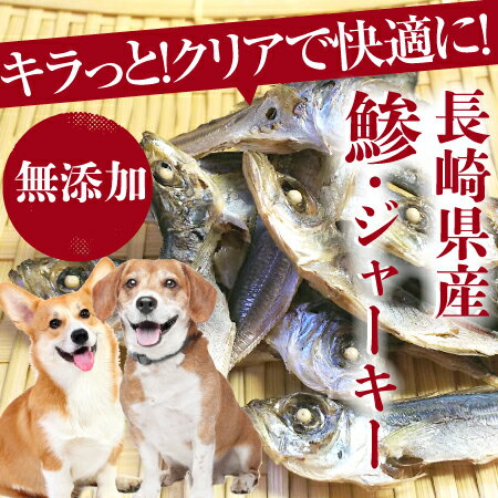無添加・国産 犬用おやつ(魚・ジャーキー 鯵)カルシウム・タウリンが豊富