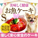 犬用ケーキ(無添加 お魚 ケーキ)犬の誕生日・クリスマスに人...