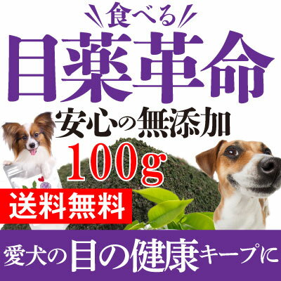 犬 視力・目の サプリ(食べる 目薬 革命100g)無添加 ブルーベリー 配合【メール便 送料無料】