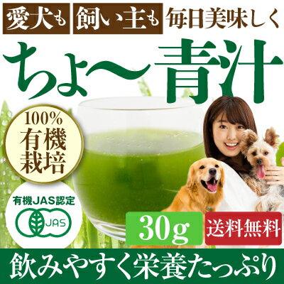 犬・猫の腸をサポート サプリメント(ちょー 青汁 30g 粉末)無添加【メール便 送料無料】