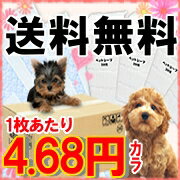 ≪セール中≫ペットシーツ レギュラー800枚・ワイド400枚[トイレ　ペットシート　薄型　使い捨て　レビューを書いて送料無料対象商品オリジナル薄型ペットシーツが送料無料の激安価格！