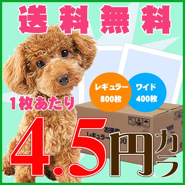 ★スタートダッシュセール★1回使い捨てペットシーツ　[犬・ペットシート・トイレシート・小型犬・超薄型・ドッグパーク・激安]大人気のペットシーツが送料無料の激安！