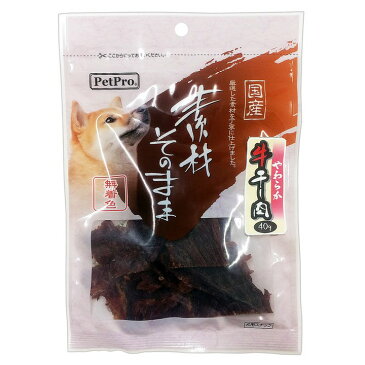 ペットプロ 素材そのまま やわらか牛干し肉 40g ドッグフード 犬 ペット 国産 ドッグフードペット ドッグフード国産 犬ペット ペットドッグフード 国産ドッグフード ペット犬 株式会社ペットプロジャパン 【TC】 楽天