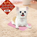 \エントリーでポイント2倍★1/21 23:59迄/ リバーシブルホッとヒーター ミニ あったかマット ペット用 猫 キャット 犬 ドッグ 電気 秋冬 あったか マルカン 【D】
