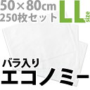 使い捨てペットシーツ「エコノミー(バラ入り)」LLサイズ(50×80cm/吸水約600cc)250枚セット【送料無料】【HLS_DU】【RCP】【あす楽_土曜営業】