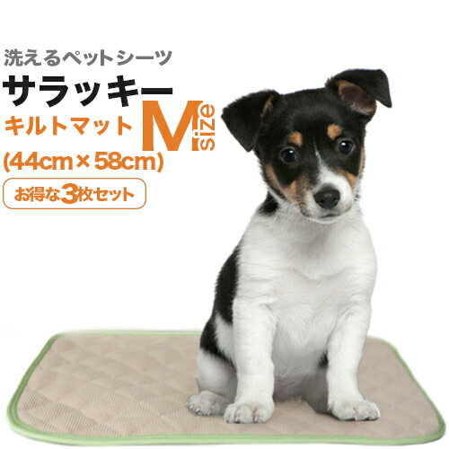 洗えるペットシーツ「ワンダーマット・サラッキー」Mサイズ（44×58cm）お得な3枚セット…...:dogs:10000053
