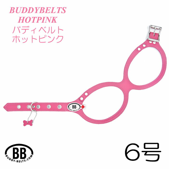 バディベルト6号【ホットピンク・HOT PINK】【BUDDY BELT】【送料無料】ペット用品【円高還元】