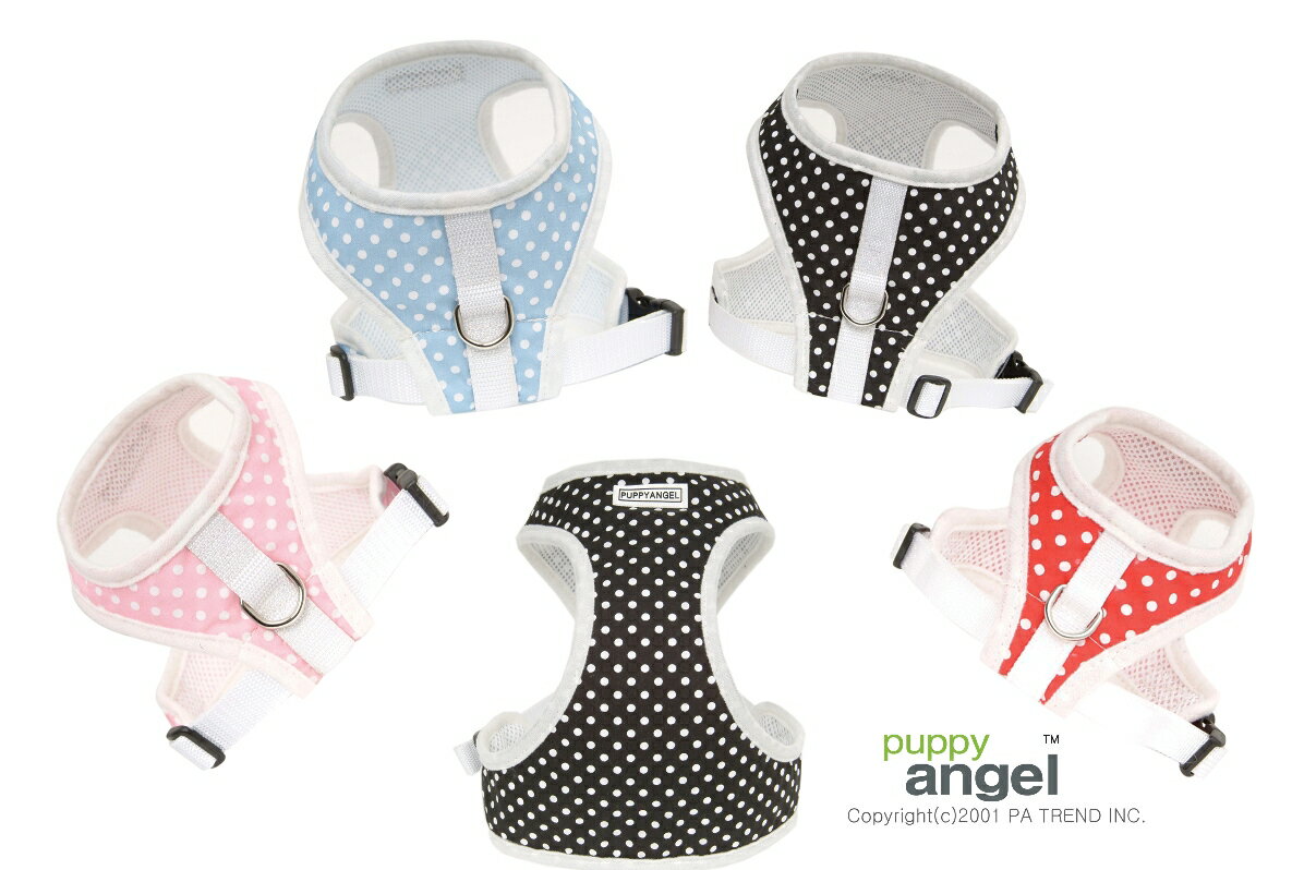 ݥ륫ɥåȥϡͥPUPPY ANGELۥѥԡ󥸥롡10...
