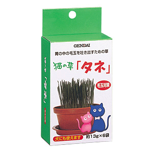 現代製薬 猫の草「タネ」 約13g×6袋　【マラソン201207_生活】