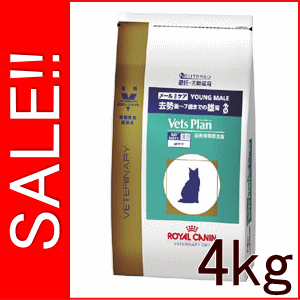 ★SALE★ ロイヤルカナン ベッツプラン 猫用 準療法食 メールケア(去勢後〜7歳までの雄猫） 4kgメールケア ロイヤルカナン 猫用 ベッツプラン ★エントリーでポイント5倍★11/27夜23:59迄