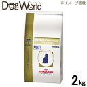 ★キャンペーン中★ ロイヤルカナン 猫用 療法食 消化器サポート  2kg消化器サポート可溶性繊維 ロイヤルカナン 食事療法食 　