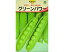 エンドウ秋蒔き種子グリーンパワー豌豆30mL小袋詰