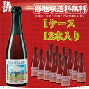 【送料無料】【ベルギー発泡酒】カンティヨン・クリーク 375ml瓶 【1ケース/12本】【ランビックビール・フルーツビール】