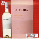 【白ワイン】カルドーラ シャルドネ 白 イタリア 750ml