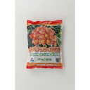 ☆10/1限定ポイント最大20倍&最大400円OFFクーポン配布中|クンシランの肥料 550G 朝日工業