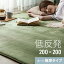 [シリーズ累計26万枚突破] ラグ 北欧 低反発 200×200 ラグマット 送料無料 rug 低反発ラグ 滑り止め 防音マット ホットカーペット ラグ カーペット シャギーラグ グリーン ラグ グリーン モダン 北欧 冬用 夏用