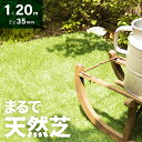 【エントリーでP10倍★2/24 20:00〜23:59】 人工芝 ロール 1m×10m 芝丈35mm 送料無料 人工芝 芝生マット 人工芝生 人工芝マット 人工芝ロール 芝生 ロールタイプ 固定ピン 庭 ベランダ テラス バルコニー ガーデニング ガーデン 屋上緑化 u字ピン 水はけ