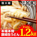 讃岐うどん 【極太麺】 本場讃岐うどん製麺工場直送! 讃岐う...