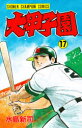 大甲子園 17 水島新司/著