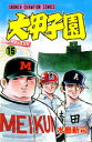 大甲子園 15 水島新司/著