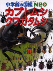 【新品】【本】カブトムシ・クワガタムシ　小池啓一/執筆・企画構成　新開孝/〔ほか〕撮影