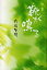 【新品】【本】靴が鳴る 歌集 内藤賢司/著 1,210円