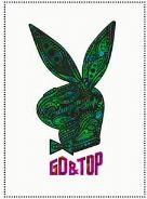 【中古】【CD】GD＆TOP/THE　FIRST　ALBUM＜DVD付＞