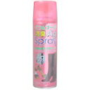 くつ&ブーツ消臭Agスプレー 220ml 453598420...