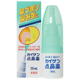 【第2類医薬品】カイゲン<strong>点鼻薬</strong> 30mL 4987040052861