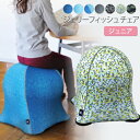 【ポイント最大32倍 6/20 0:00〜23:59】ジェリーフィッシュチェアー ジュニア jellyfish chair バランスボール 椅子 イス デザイナーズ ダイエット ダイエット器具 エクササイズ フィットネス お洒落 カフェ カラフル ジェリーフィッシュ チェア キッズ 子供 sps07