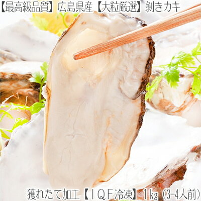 【送料無料】広島県産【地御前地域】特大冷凍剥きカキ 1kg.【鮮度、高品質】なので大人気【約3-4人前】濃厚な牡蠣の旨みを存分にお楽しみ下さい！獲れたての剥きかきをIQF急速冷凍、鮮度抜群福袋