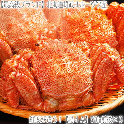 【毛ガニ 毛蟹 送料無料】【最高級】北海道産 雄武 【特大】 570g×3尾.【活蟹をボイル】急速冷...:dosanko-factory:10000408