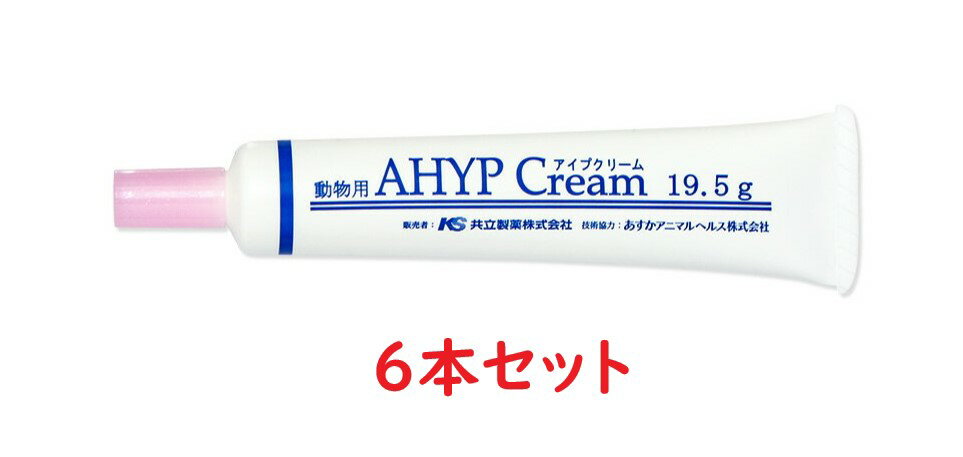  6Zbg  ACvN[ 19.5g~6 Lp  (AHYP Cream) 畆 