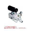 アンレット 小型ルーツブロワ BSR40B 1.5kw (BSR-40B)