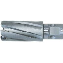 日東 ジェットブローチJBワンタイプ 24X35 NO.16324 (117-1691) 《磁気ボール盤カッター》