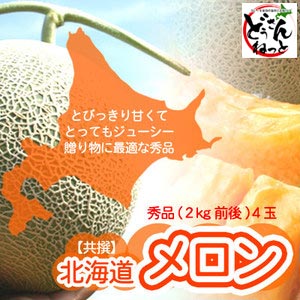 【共撰】ドデカ北海道メロン2kg(4玉セット） 【送料無料】